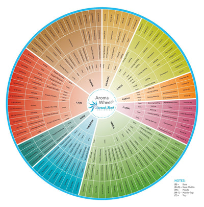 Become An Essential Oil Connoisseur With The Sacred Soul Aroma Wheel