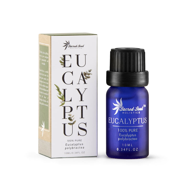 Essential Oils Therapeutic 3 Set - Eucalyptus, Tea Tree, Lavender - Sacred Soul Holistics